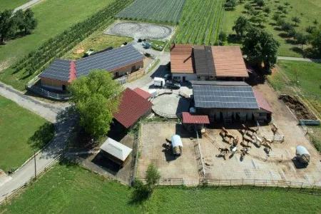 Vogelperspektive Fohlenweide Bodensee